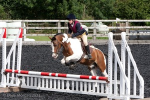 Class 3 -  Fences not above 2'3